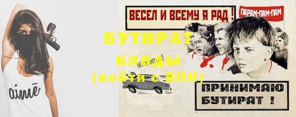стафф Ельня