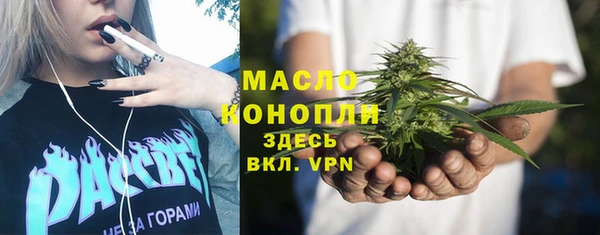 стафф Ельня