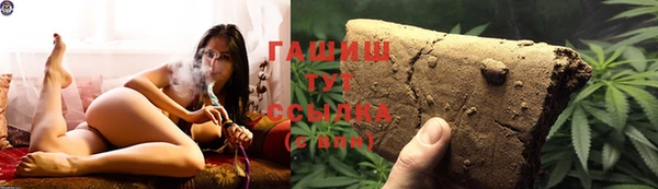 стафф Ельня