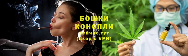 стафф Ельня
