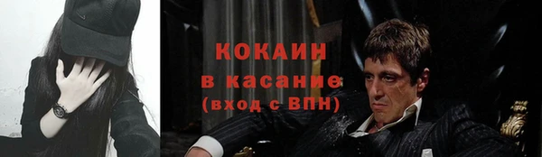 стафф Ельня