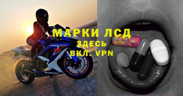 стафф Ельня