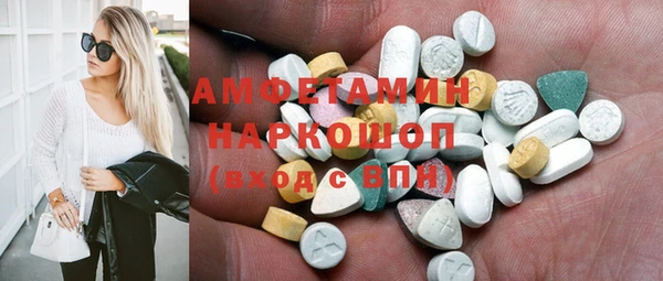 стафф Ельня