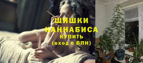 стафф Ельня