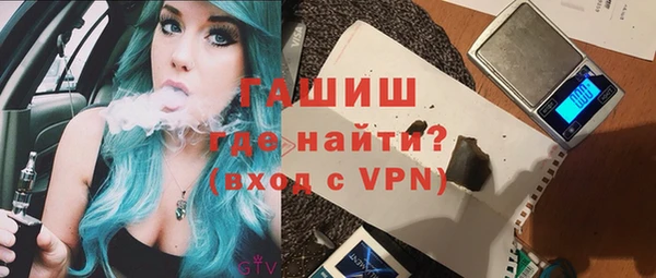 стафф Ельня
