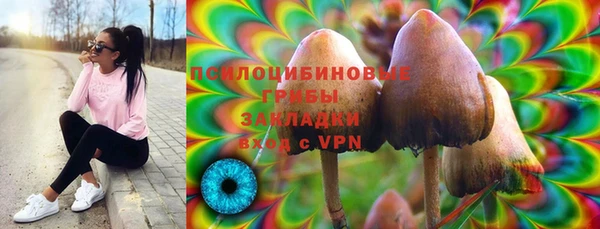 мдма Елизово