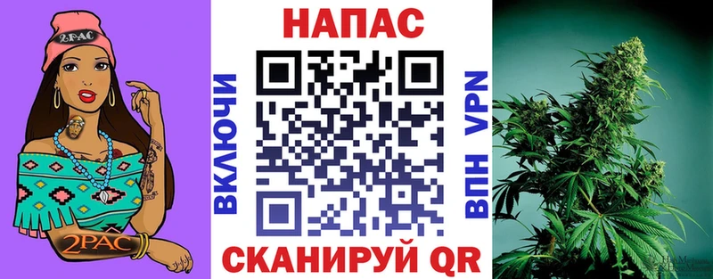 что такое   Подольск  Бошки марихуана THC 21% 